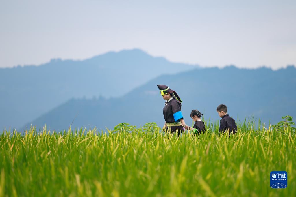 澳门新葡